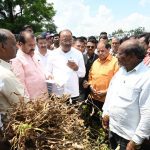 शेतपिकाची नुकसान भरपाई मिळण्यासाठी प्रयत्न करणार – पालकमंत्री चंद्रशेखर बावनकुळे