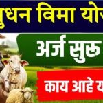 पशुधन विमा योजनेसाठी अर्ज मागविण्यास सुरुवात ; शेतकरी – पशुपालकांनी लाभ घेण्याचे पशुसंवर्धन विभागाचे आवाहन
